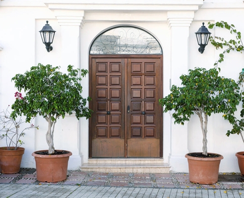 Парадные двери Парадные двери